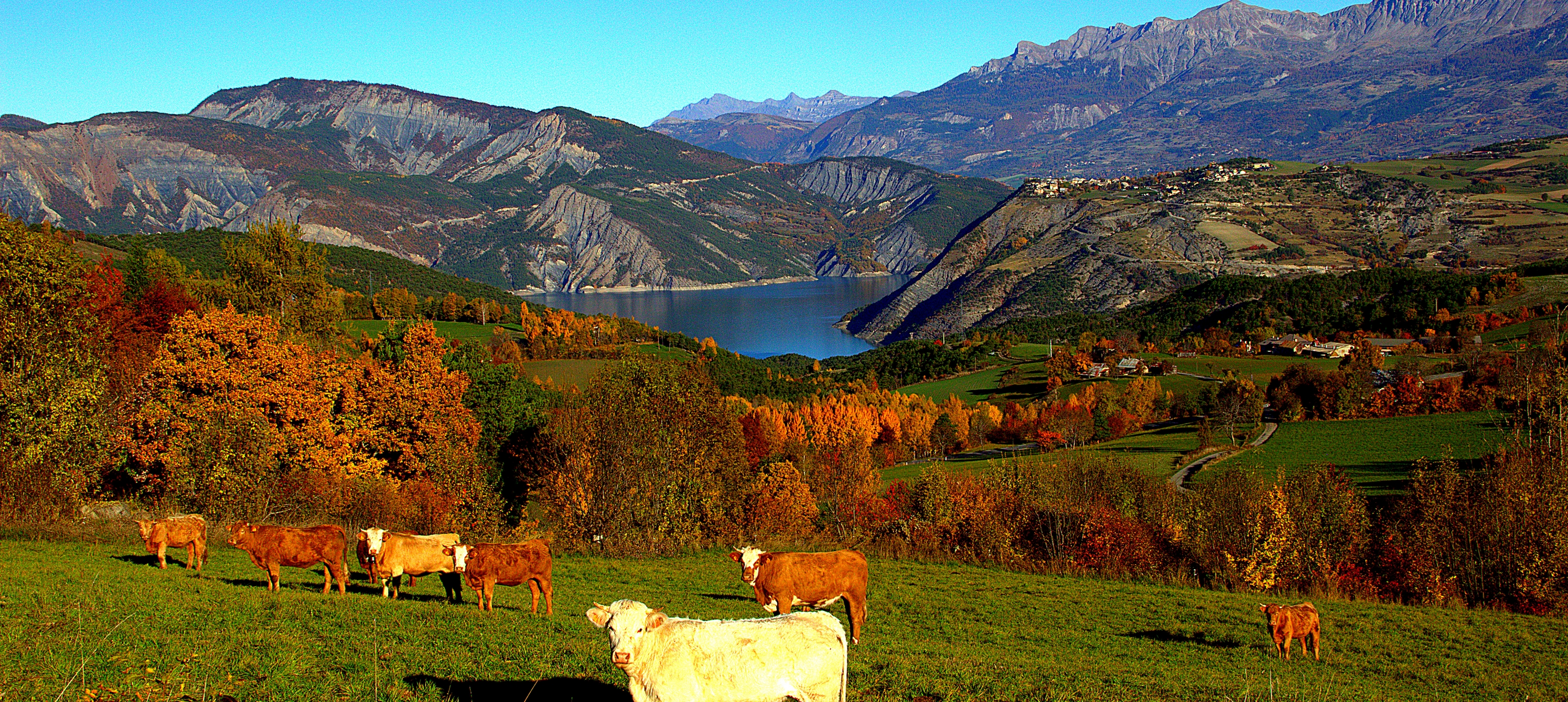 entre lac et montagnes...