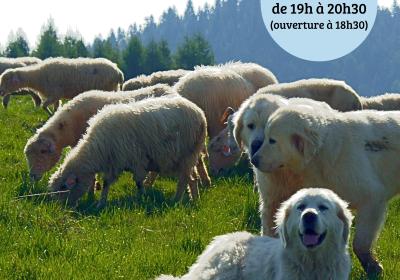 Affiche Conférence Patou