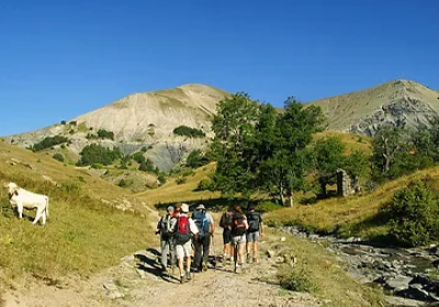 Randonnée découverte de la faune - Rando découverte
