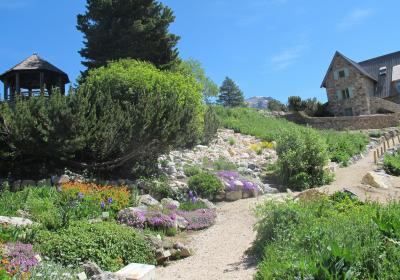 Massifs et rocailles - 