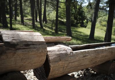 Sentier de découverte du Col de Fontbelle_Le Castellard-Melan