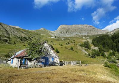 La Cabane des mulets n°15 - La Cabane des mulets