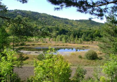 Petit Tour des Chapelles - tourbière_lac_st_Léger_Montclar