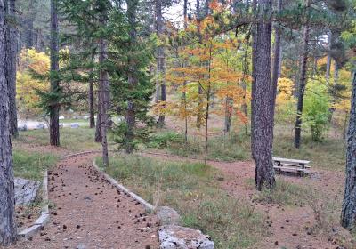 Aire de pique nique du Col de Fontbelle