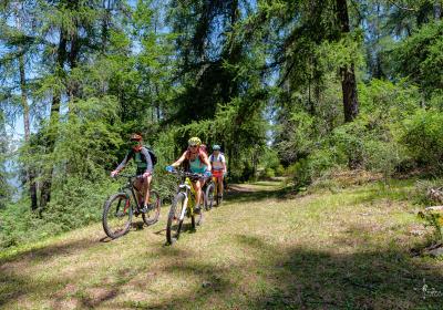 Liaison VTT - Chabanon - Le Grand Puy - Liaison VTT - Chabanon - Le Grand Puy