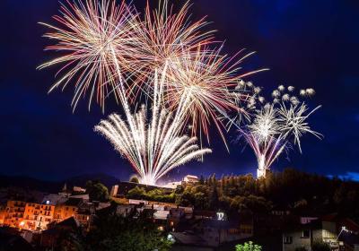 Feu d'artifice à Seyne - Feu d'artifice tiré du fort Vauban