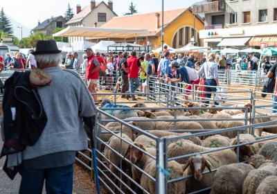 Foire de la Saint-Michel à Barcelonnette - Foire de la Saint-Michel à Barcelonnette