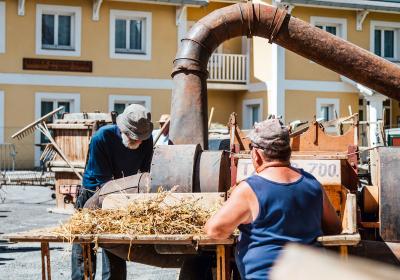 Fête de la Moisson de Saint-Pons - Fête de la Moisson de Saint-Pons