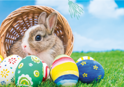 Pâques au Fort - Panier avec des oeufs de pâques