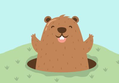 Marmotte Stories - Marmotte Stories
