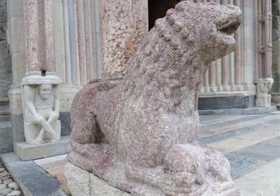 Image - Lion
