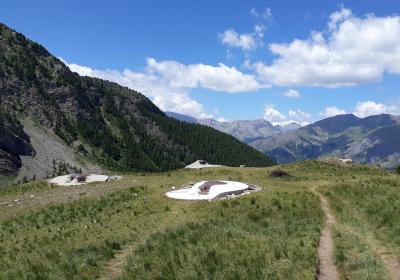 Visite et contes à Plate Lombarde : ouverture exceptionnelle - Ouvrage de Plate Lombarde