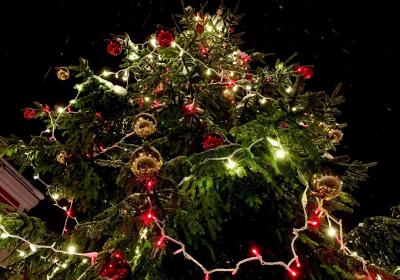 Féeries de Noël de Barcelonnette - Féeries de Noël de Barcelonnette