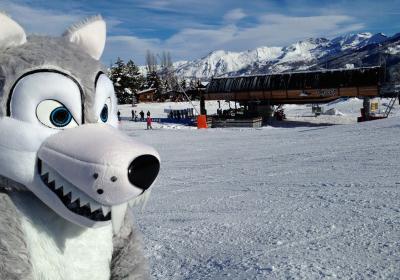 Mascotte - Mascotte