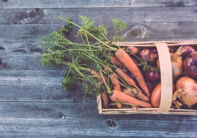 Réunion Sécurité Sociale de l'Alimentation à l’Alternateur_Seyne - Panier de légumes