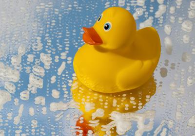 Pêche aux canards - Pêche aux canards