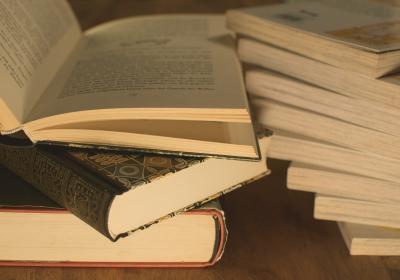 Bourse aux livres_Seyne - Livres