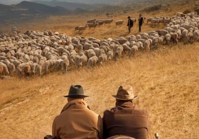 Dans les pas de Pete | Un Haut-Alpin au Far West - Dans les pas de Pete | Un Haut-Alpin au Far West