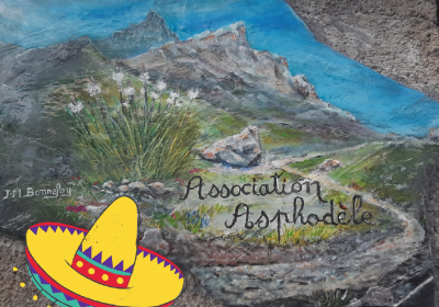 Asphodèle repas mexicain