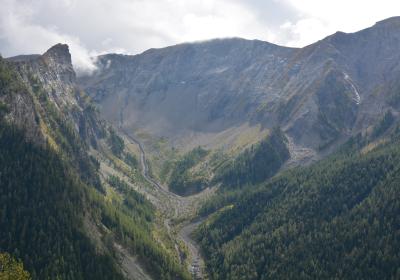 Conférence : Histoire de la forêt de la Tellière_Uvernet-Fours