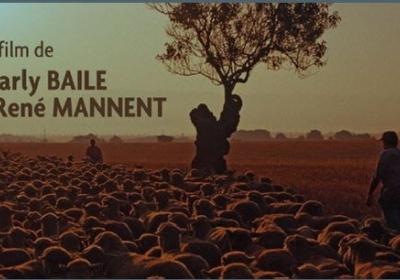 Diffusion du film Les dernières grandes transhumances à Alternateur_Seyne