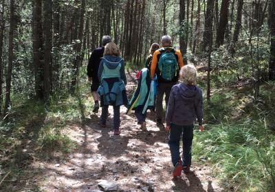 Randonnée en forêt - Randonnée en forêt