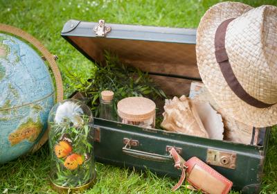 LPOP_Valise