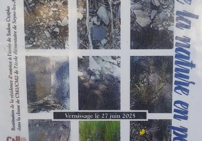 Exposition "Le ruissellement, de la nature en poèmes" - Exposition "Le ruissellement, de la nature en poèmes"