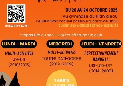 Stage Sportif HBCE