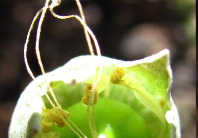 Séance danse spontanée - Séance danse spontanée