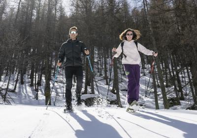 Évasion Nordique - Le Sauze - Raquettes à neige