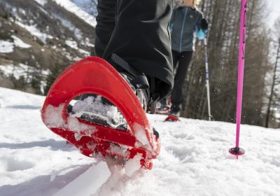 Découverte des raquettes - Le Sauze - Balade en raquettes à neige