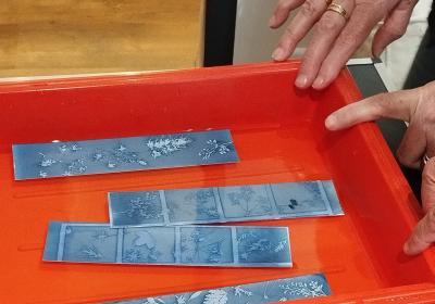 Atelier cyanotype - Atelier cyanotype