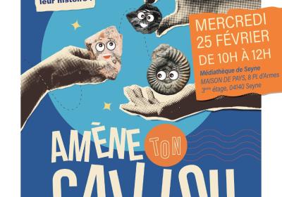 Amène ton caillou - affiche