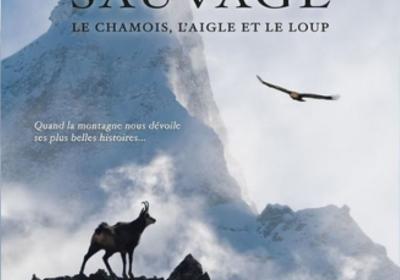 {103225C4-EFCC-4D45-8F83-E3653F4E5A74} - Affiche "Sauvage"