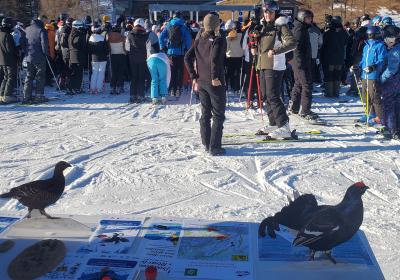 Sensibilisation à la faune sauvage et au risque avalanche - Sainte-Anne - Sensibilisation à la faune sauvage et au risque avalanche