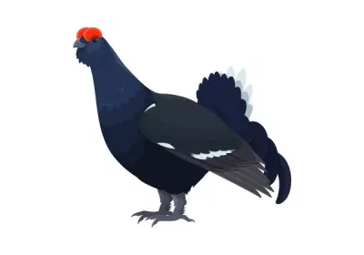 Atelier créatif "les oiseaux de la montagne - Café des arts_Montclar - Atelier créatif "les oiseaux de la montagne"