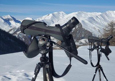 Découverte en direct du Gypaète barbu et sensibilisation au risque avalanche