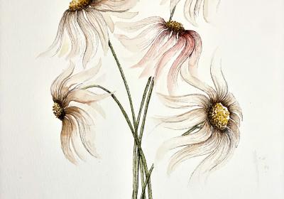 Atelier aquarelle EMBRUN - Atelier aquarelle EMBRUN