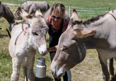Journées du patrimoine de Pays : tour et détour