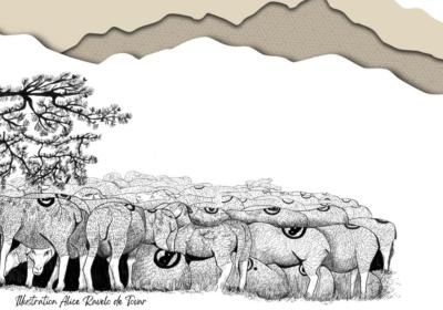 Inauguration de l'exposition « Où vas-tu Berger(ère) ? Transhumance et société » - La Condamine-Châtelard