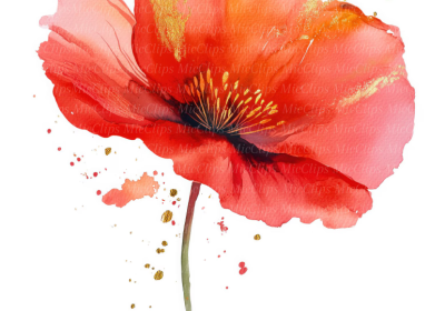 atelier aquarelle fleurs d'été EMB - atelier aquarelle fleurs d'été EMB