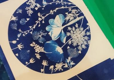 atelier cyanotipe EMB - atelier cyanotipe EMB