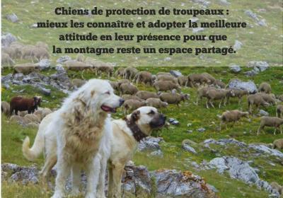 conférence paroles de patous EMB - conférence paroles de patous EMB