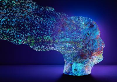 Conférence sur la sobriété électromagnétique_Seyne - Conférence sur la sobriété électromagnétique_Seyne