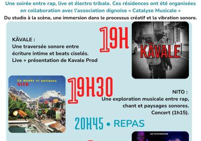 Sortie résidence alternateur.jpg - soirée résidence