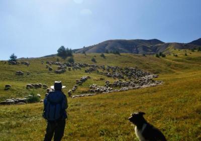 Sur les pas du berger : balade, contes et dégustation_Jausiers