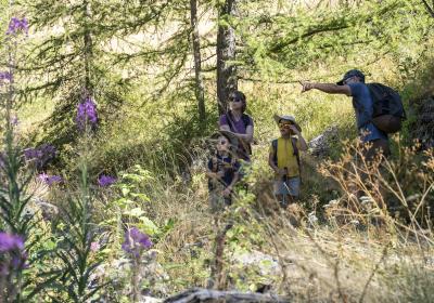 Chasse aux trésors de l'Ubaye - Le Sauze 1700