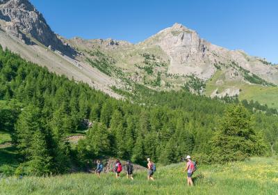 Randonnée thématique à la découverte de l'Ubaye_Le Sauze 1400