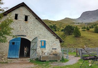Concert à la cabane des Mulets_Seyne - cabane des Mulet